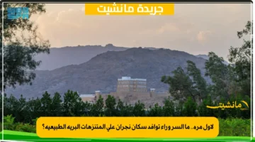 لأول مرة.. ما السر وراء توافد سكان نجران على المتنزهات البرية الطبيعية؟ 1